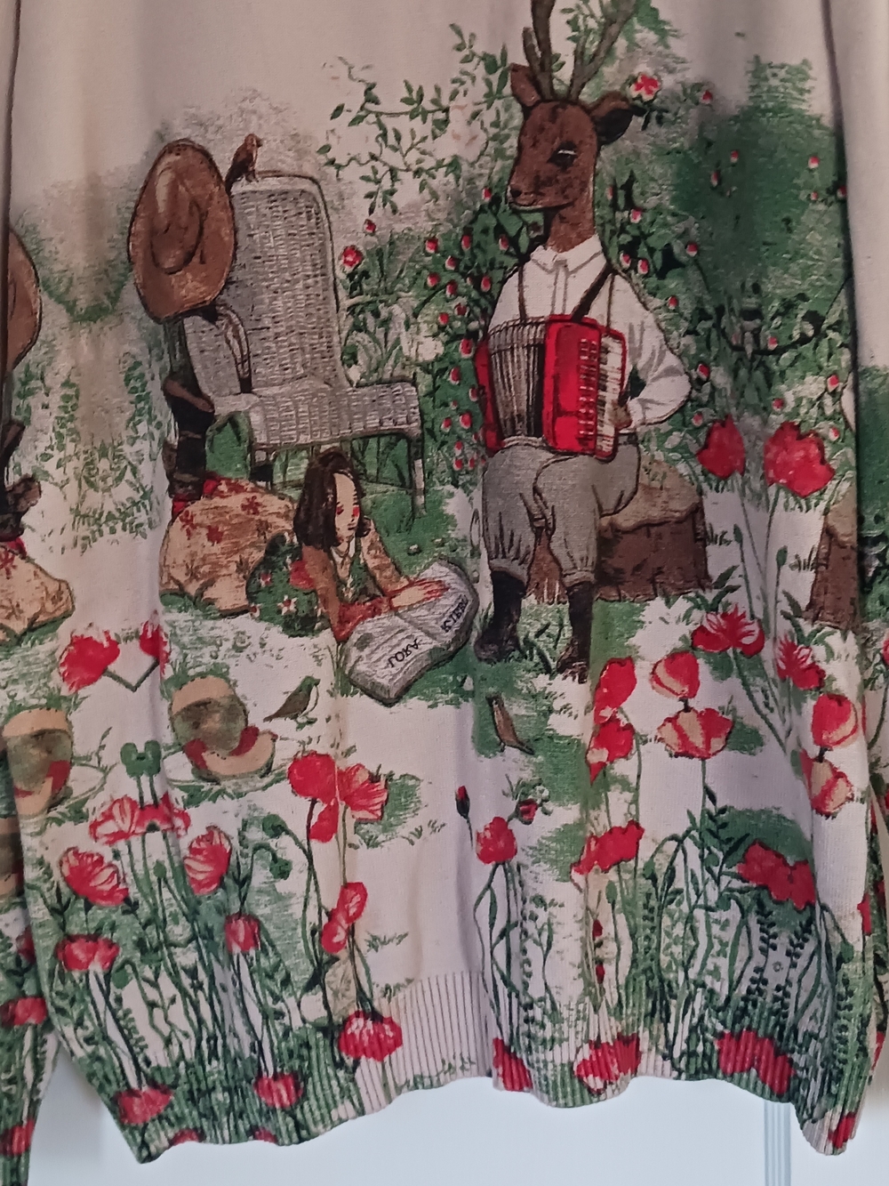 Whimsical Thick Floral Animal Print Sweater in Cream and Red - Picture 3 of 9